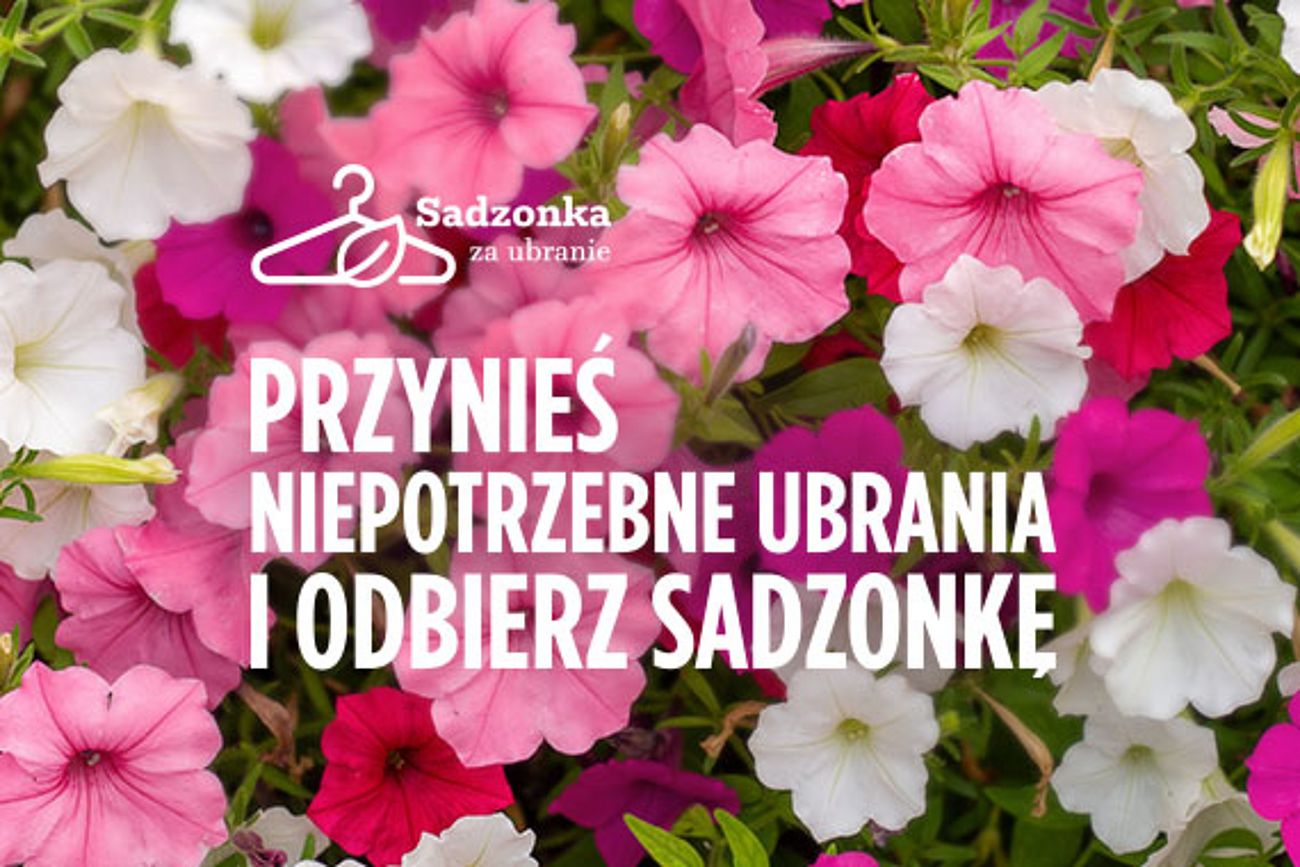 Więcej